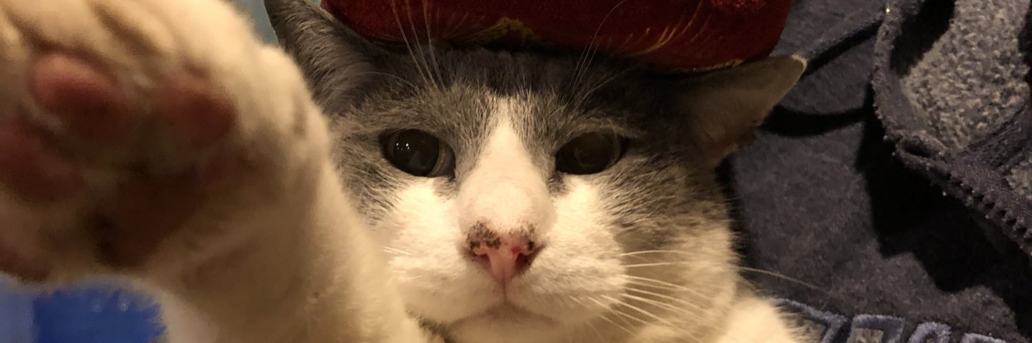 isiyanezc's profile banner image