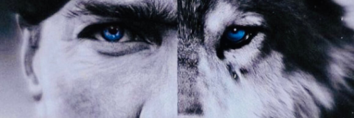 EYuzbasi's profile banner image