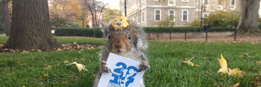 SneezySquirrel's profile banner image