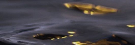 deccalhorns's profile banner image