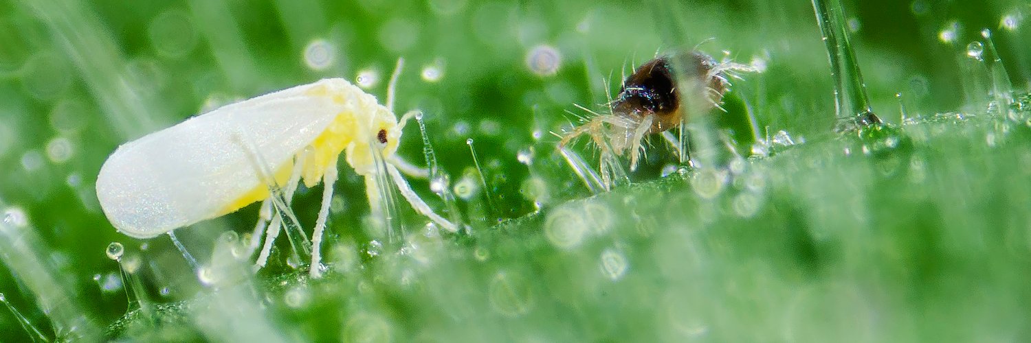 Graduate School EPS banner