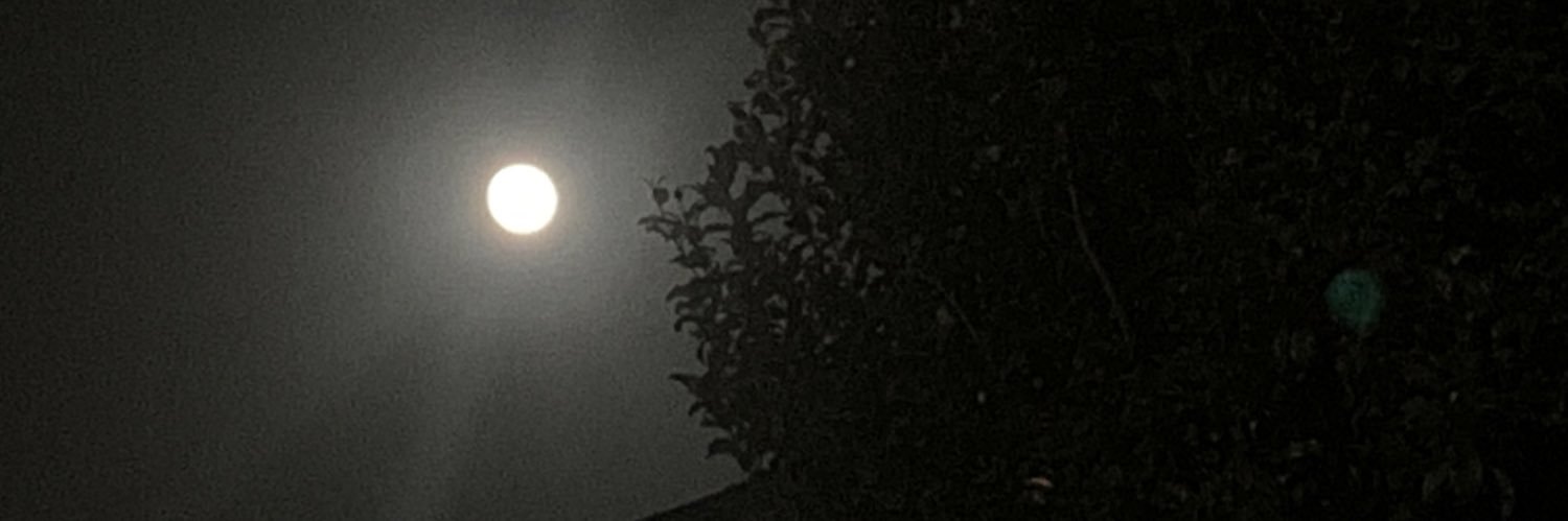 mond_555's profile banner image