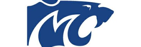 ActivitiesMoco Profile Banner
