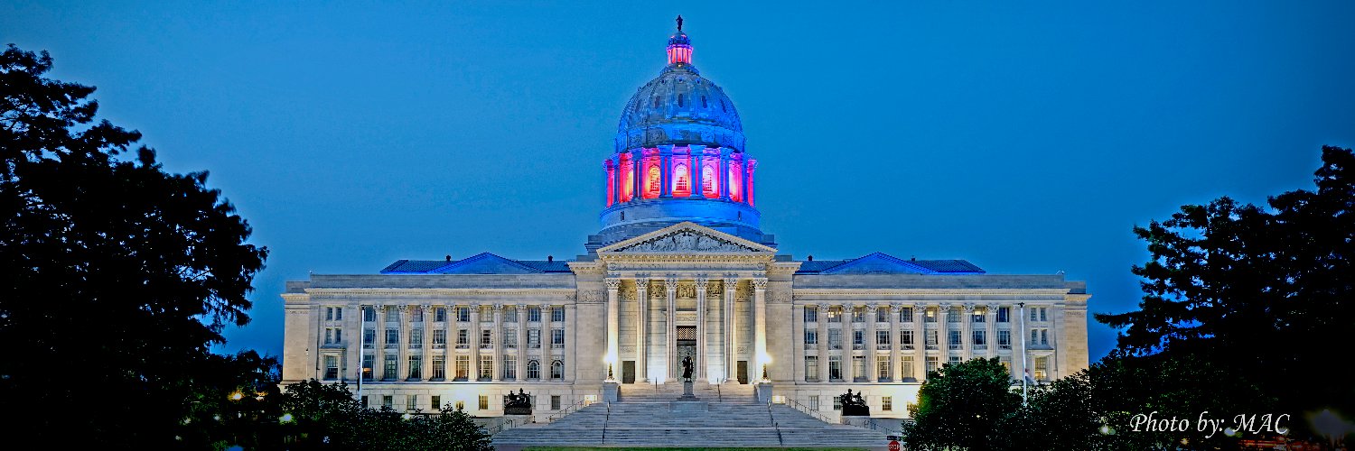 Capitol Police banner