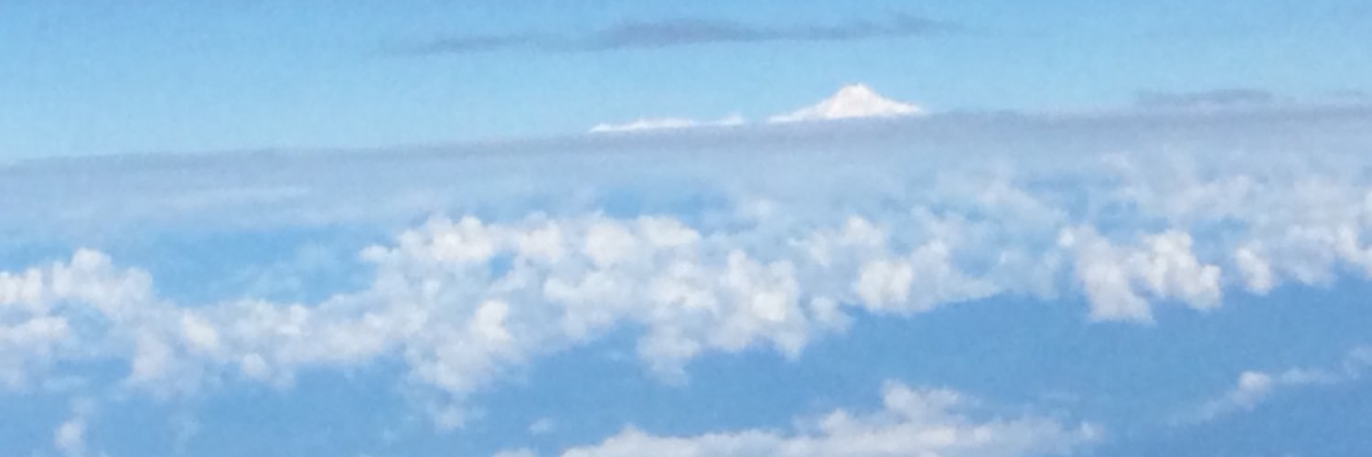 Linda Seabright banner