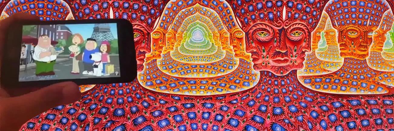 Sami Bird  banner