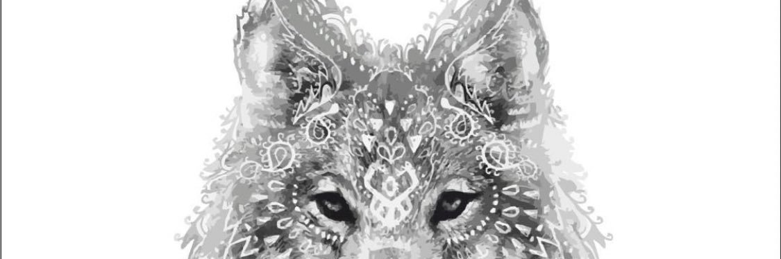 sercanefe's profile banner image