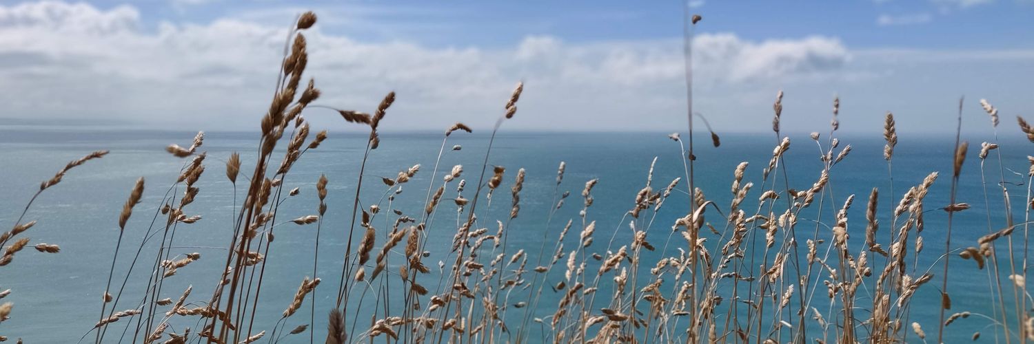 Rachel Hendery banner