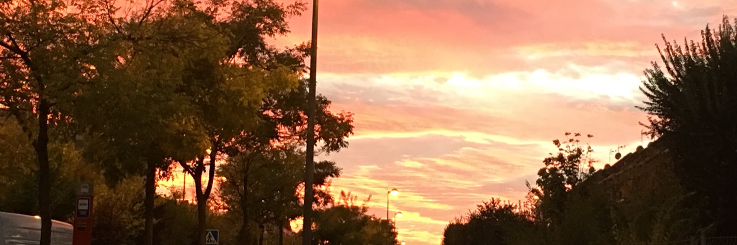 Lolasisicatt's profile banner image