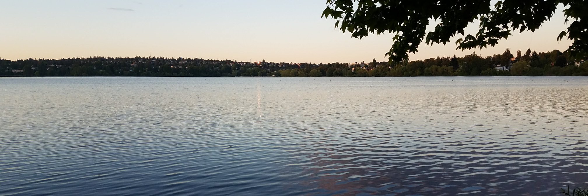Green Lake & Wallingford Safe Streets banner