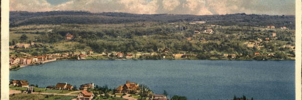 d_quartarolo's profile banner image