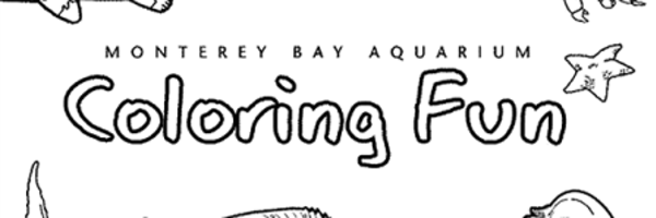 ZiniColor Profile Banner