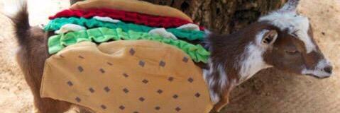 forevervickyy's profile banner image