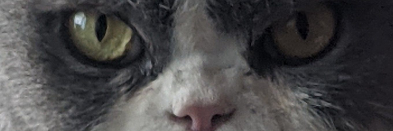 IcemanManiac's profile banner image