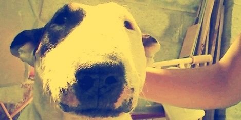 IsmaAcevedo's profile banner image