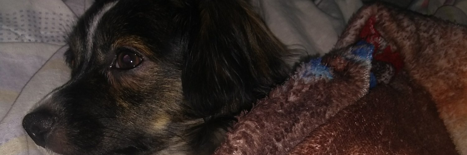 FRafard's profile banner image