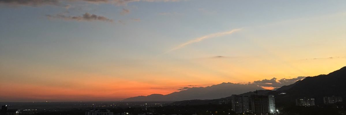 Laura Camila banner