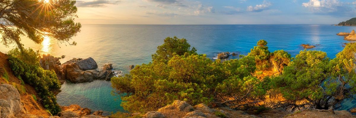 Andi_Vale's profile banner image