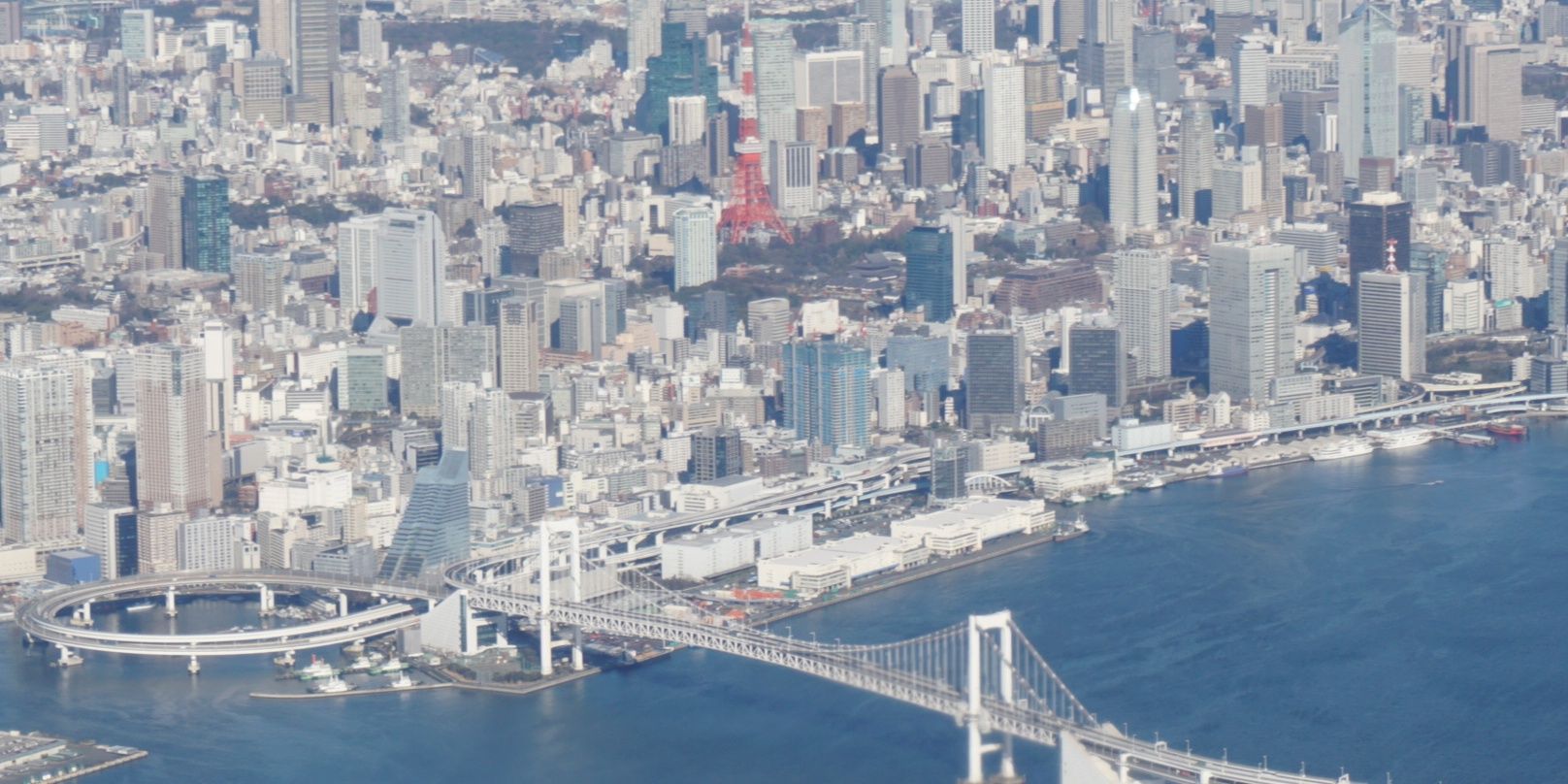 yellowtail1803's profile banner image