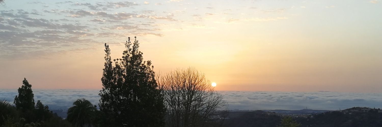 omarsancha's profile banner image