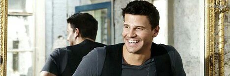😍📷: David Boreanaz (fan page) banner