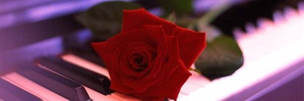like_rose_rose's profile banner image