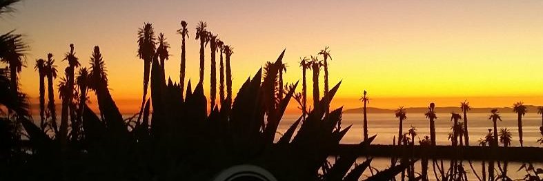 TheOCLife's profile banner image