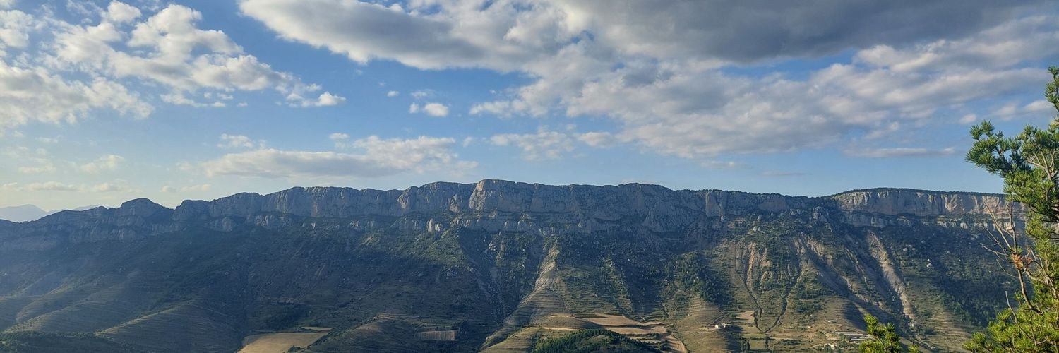 pirinenca's profile banner image