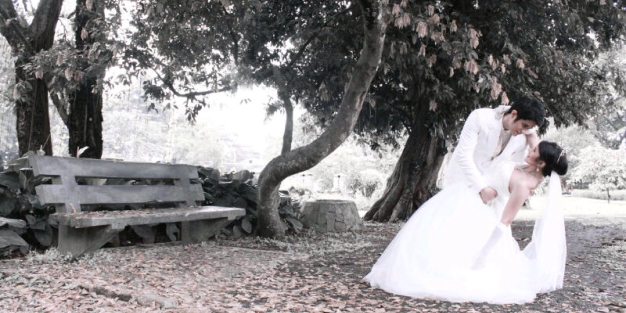 FerdiShasya's profile banner image