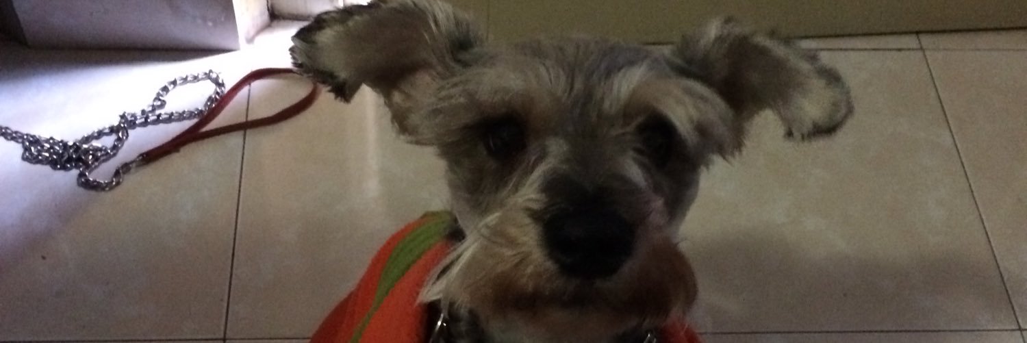 sandytf's profile banner image