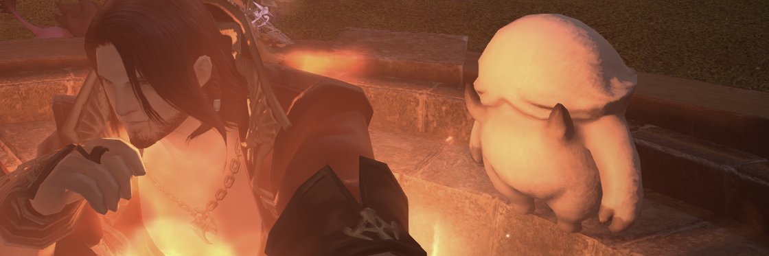 CAP banner
