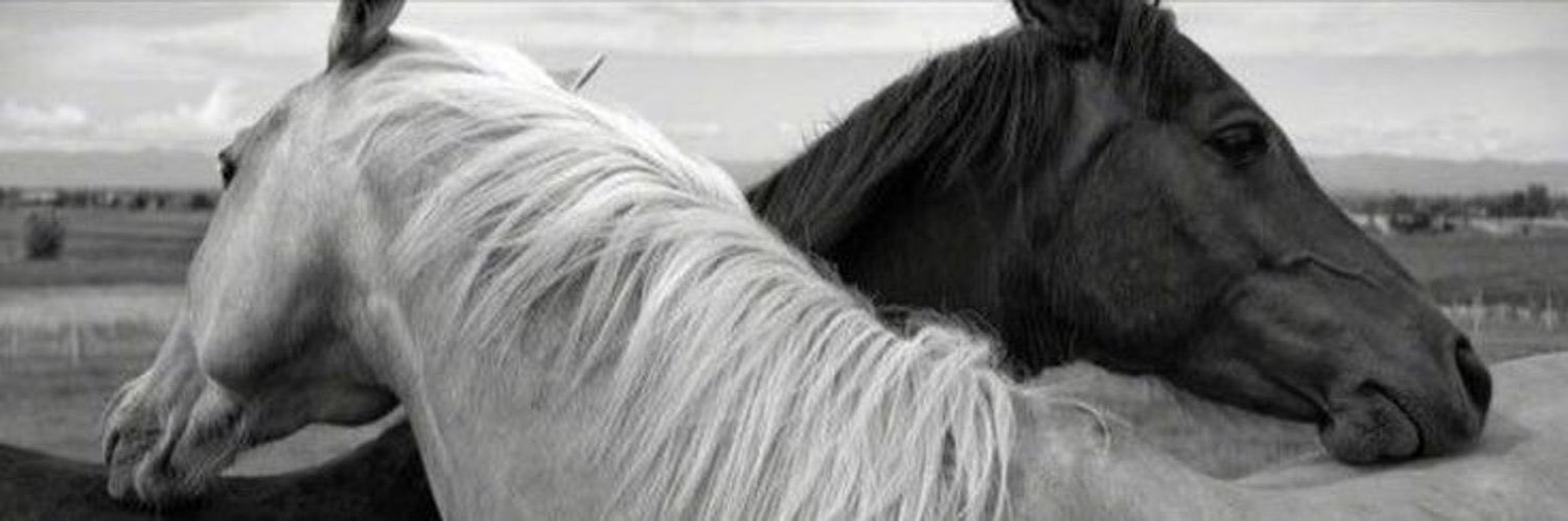 JodyYou's profile banner image