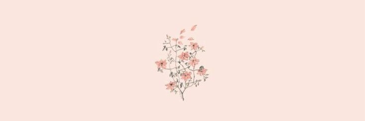 Bimyou_95's profile banner image