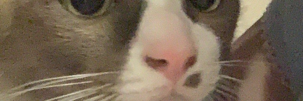 Chococ banner