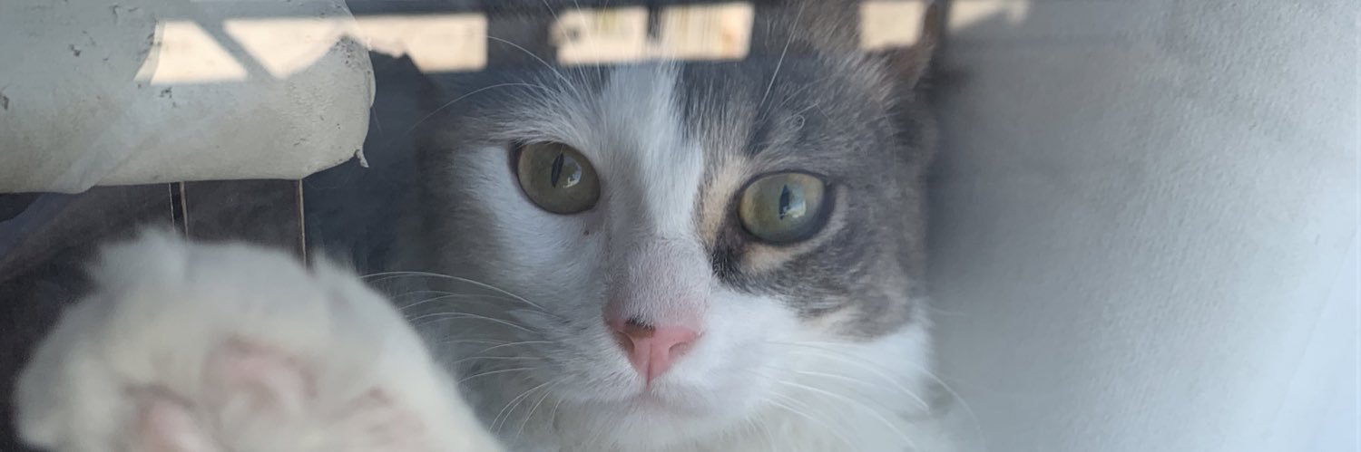 yeffcar's profile banner image
