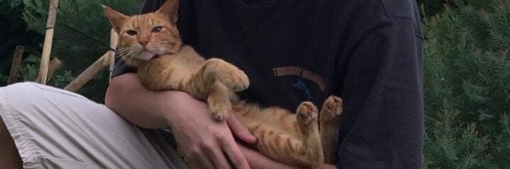 Libayathan's profile banner image
