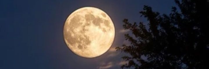 VICDAGH's profile banner image