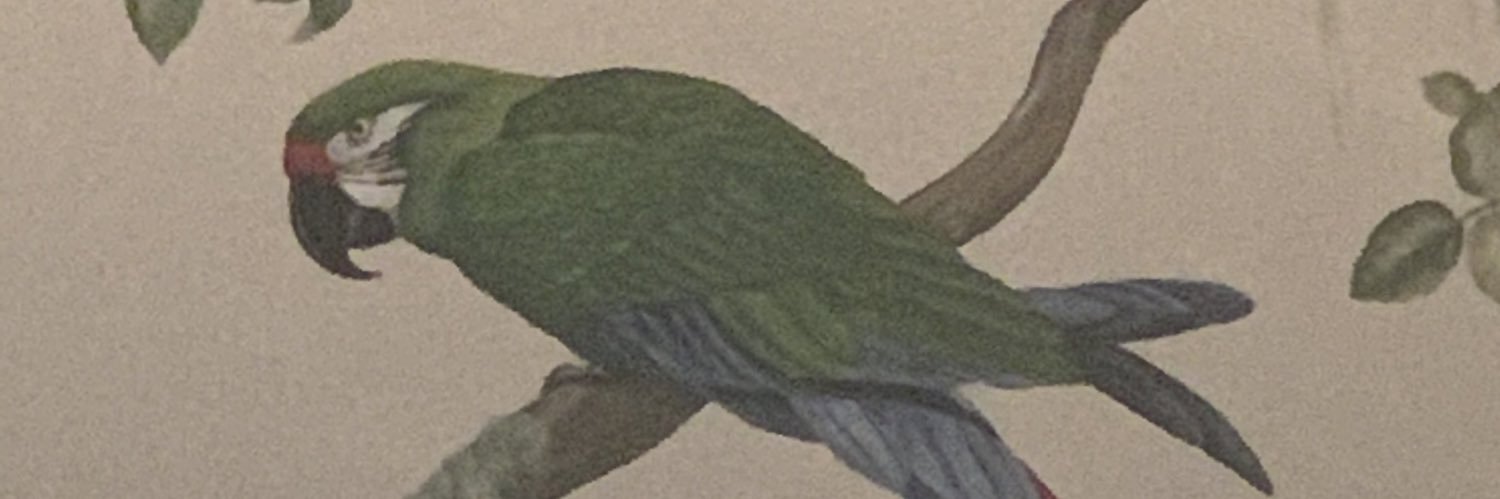 ApacheBarrel's profile banner image