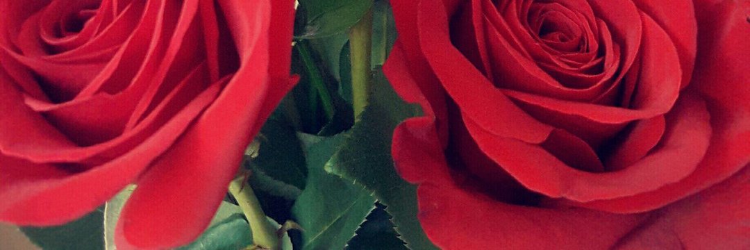 mamashxoxo's profile banner image