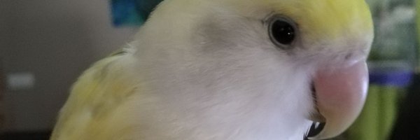 fmindias Profile Banner