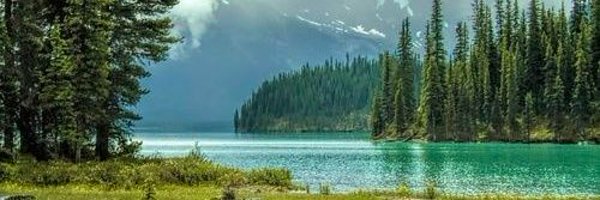 shagufta045 Profile Banner