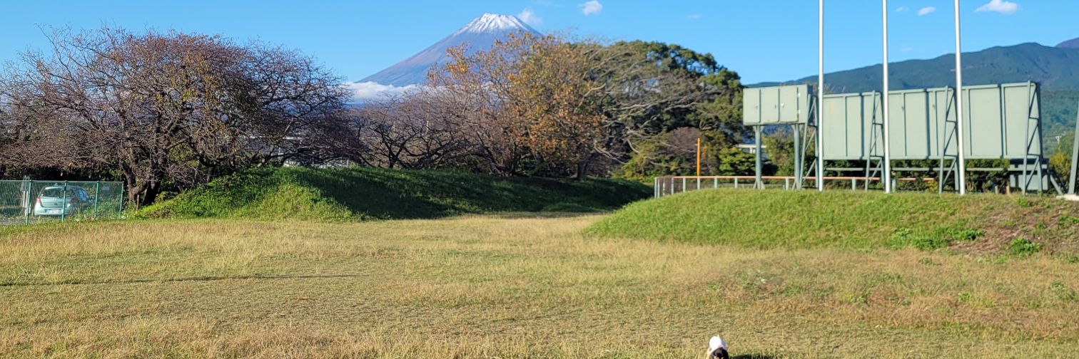 🌷ららら🌷 banner