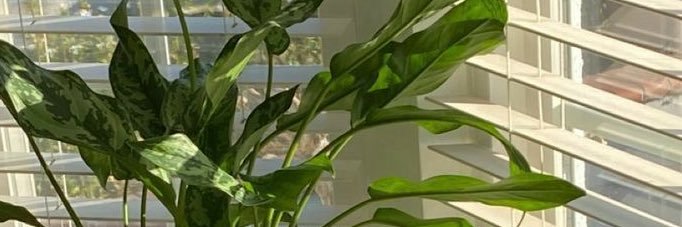 _icloudii's profile banner image