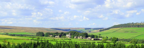 MD_Briggs Profile Banner