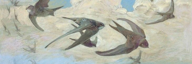 Mimir🍀🐦 banner