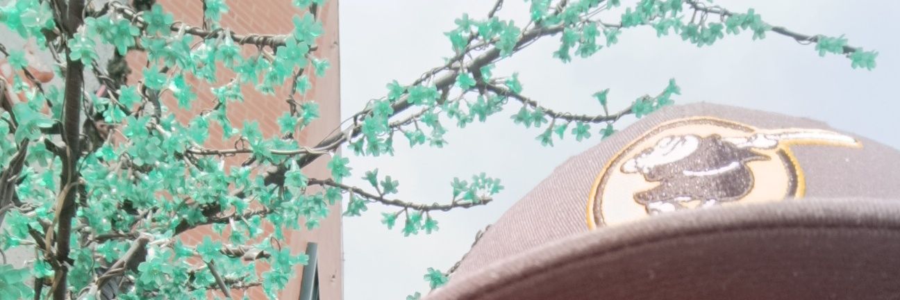 ByronAlbertoA1's profile banner image