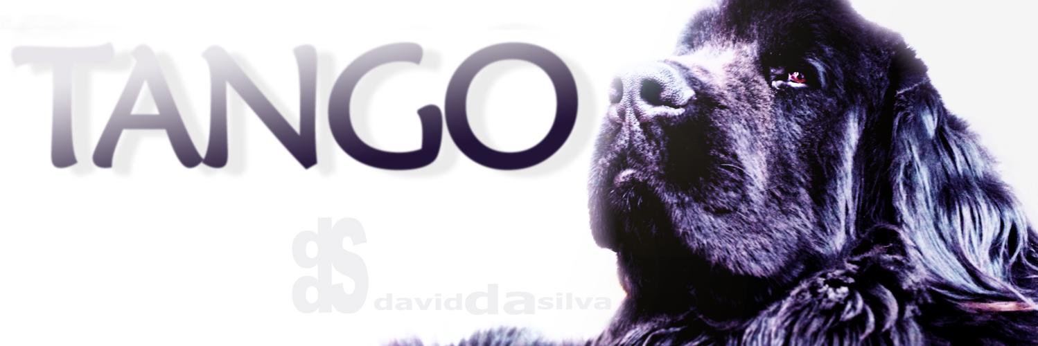 David da Silva banner