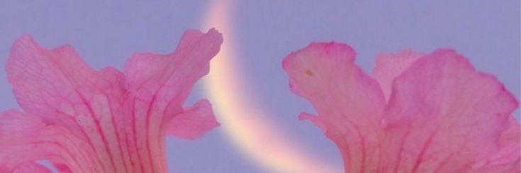 valramonl's profile banner image