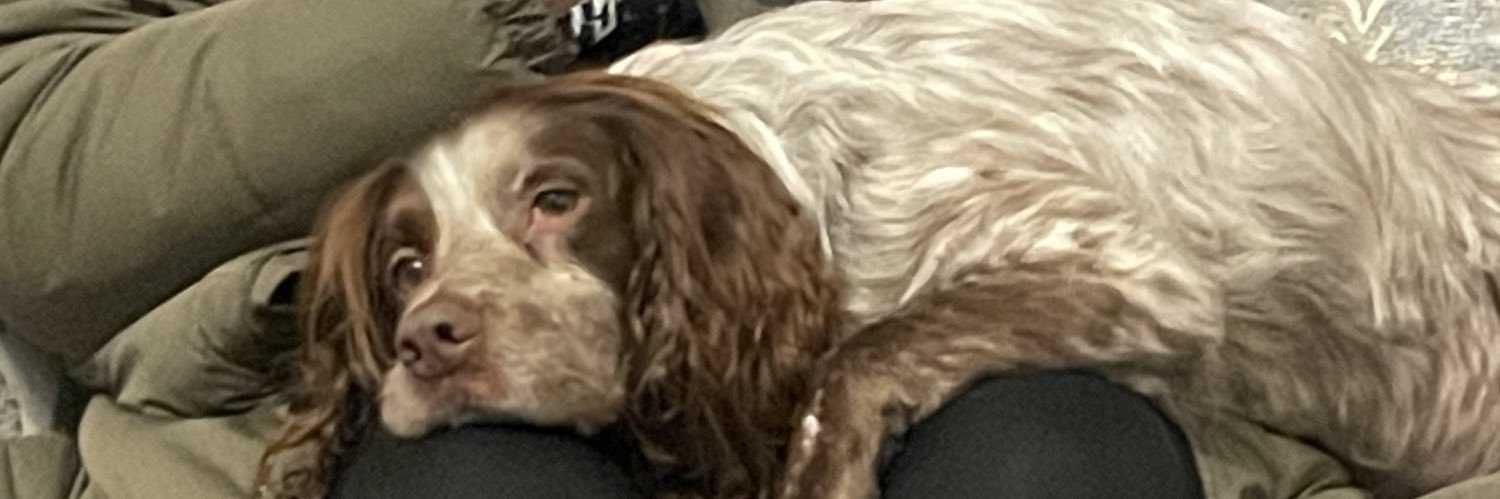 bethanyjames00's profile banner image