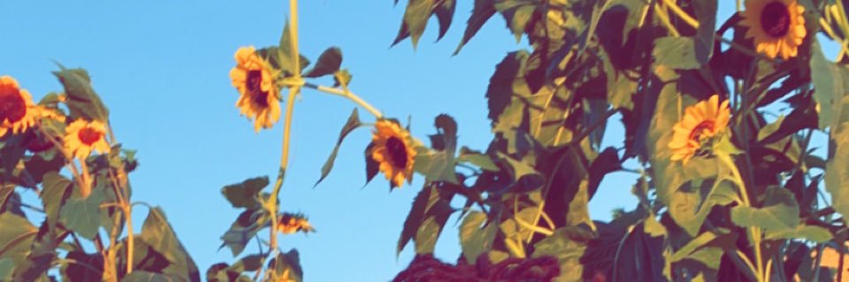 Trustimpretty1's profile banner image